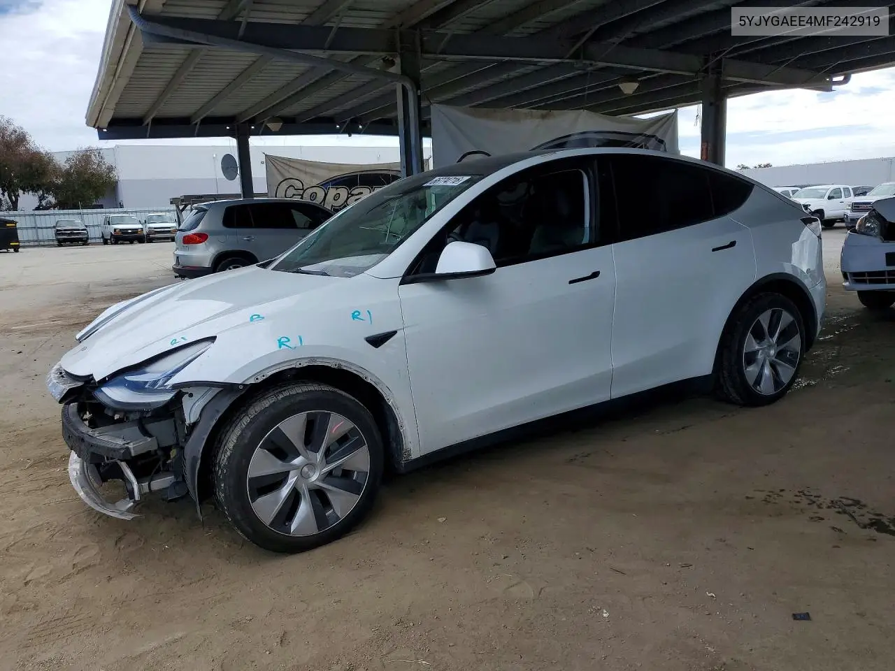 2021 Tesla Model Y