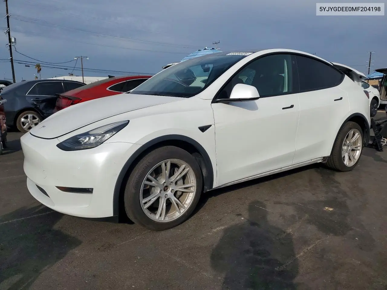 2021 Tesla Model Y