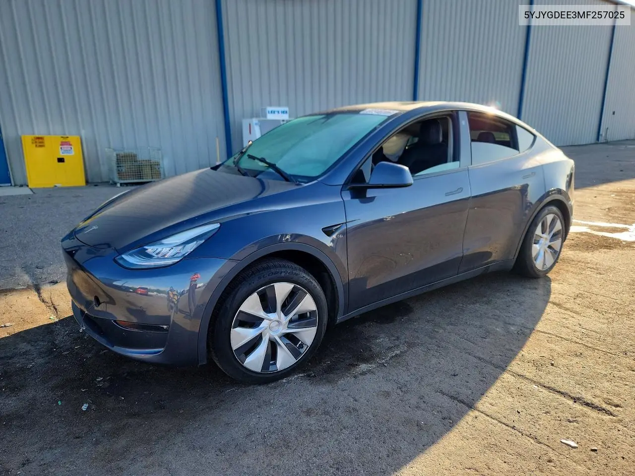2021 Tesla Model Y