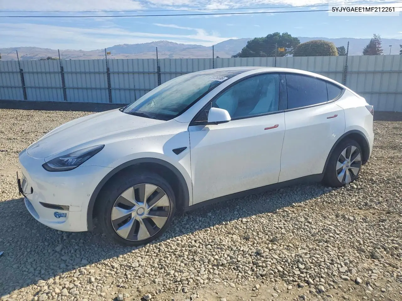 2021 Tesla Model Y