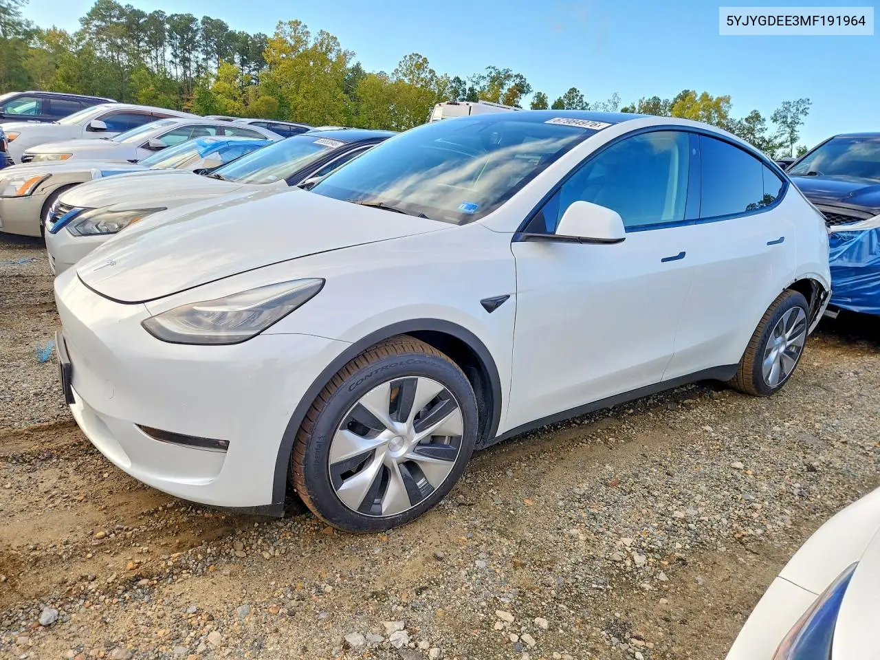 2021 Tesla Model Y