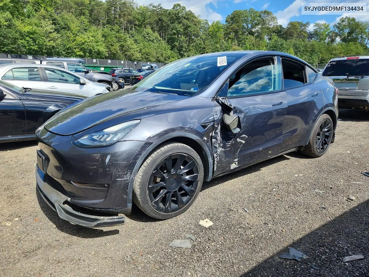 2021 Tesla Model Y