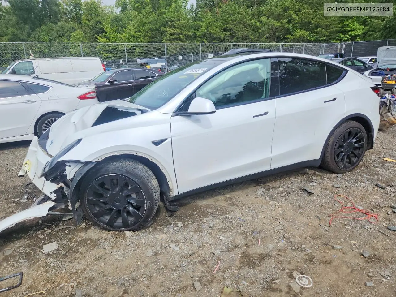 2021 Tesla Model Y