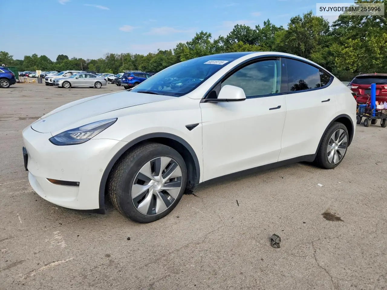 2021 Tesla Model Y