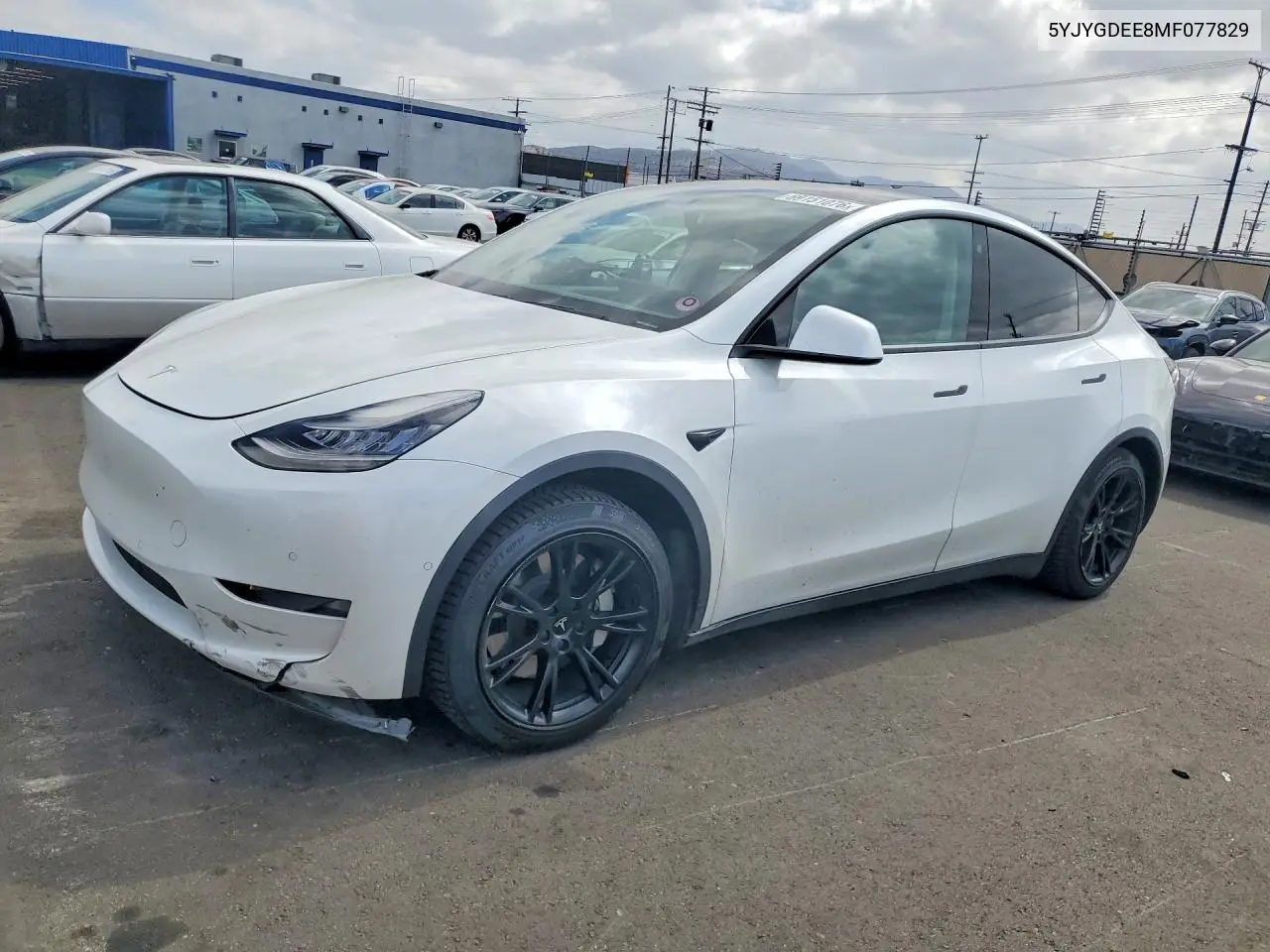 2021 Tesla Model Y