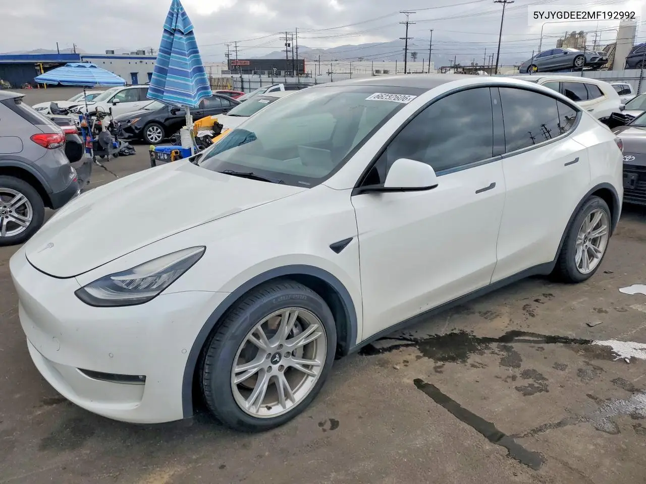 2021 Tesla Model Y