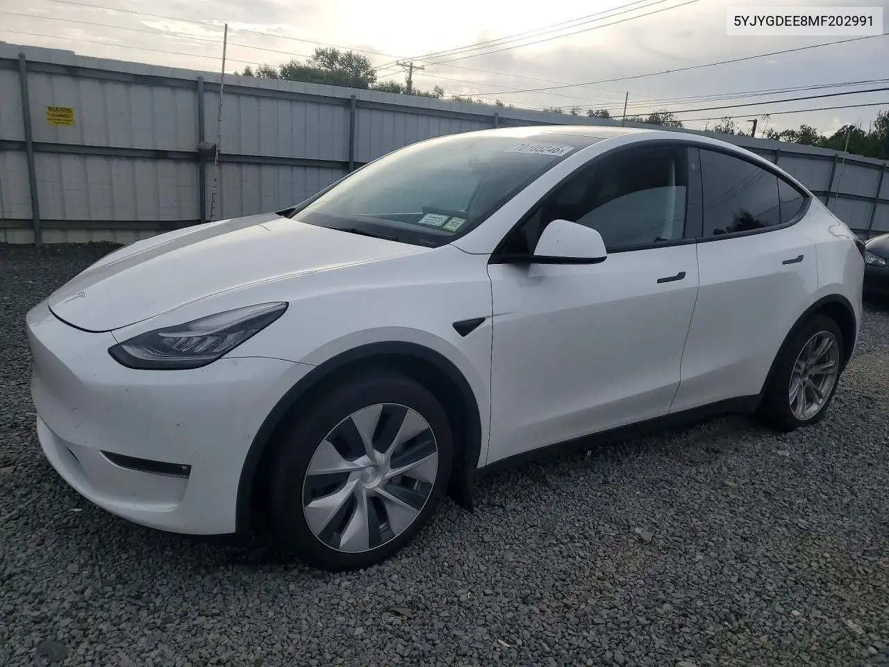 2021 Tesla Model Y