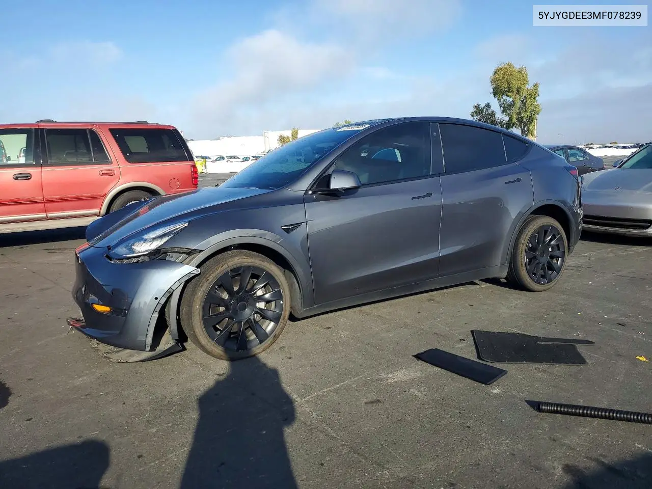 2021 Tesla Model Y