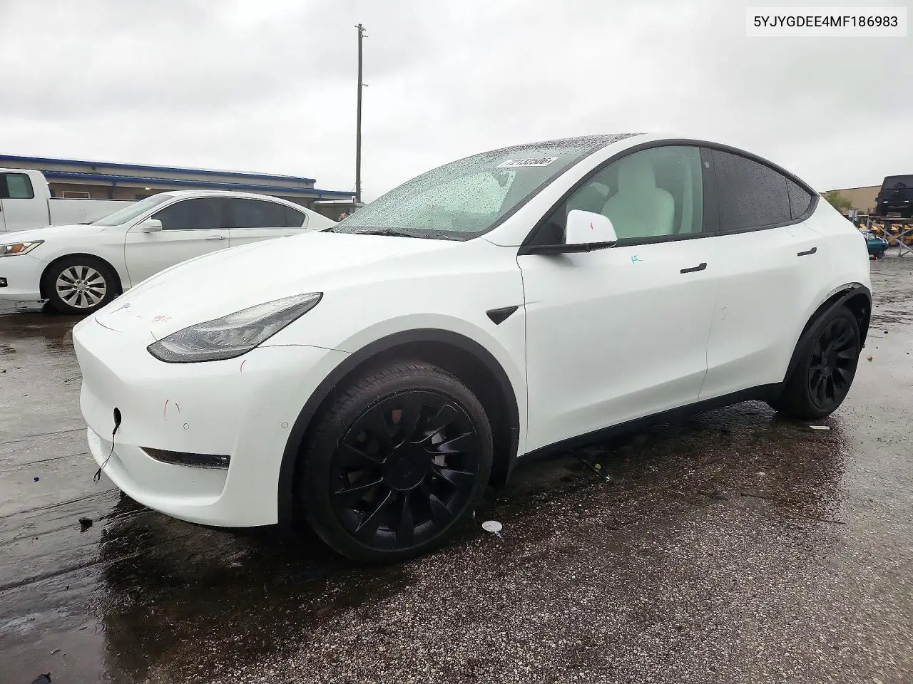 2021 Tesla Model Y