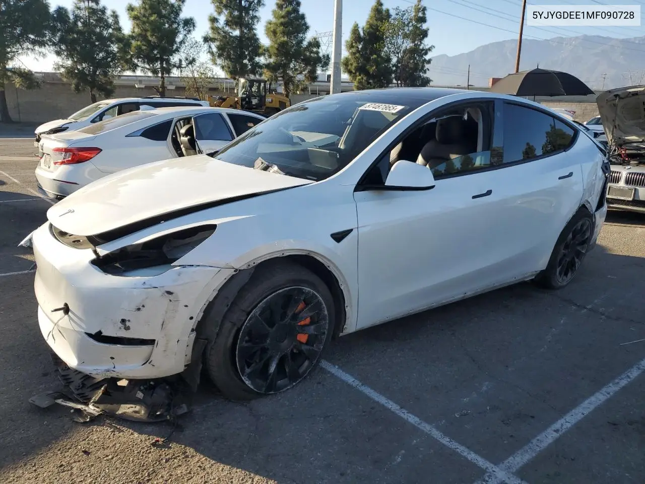 2021 Tesla Model Y