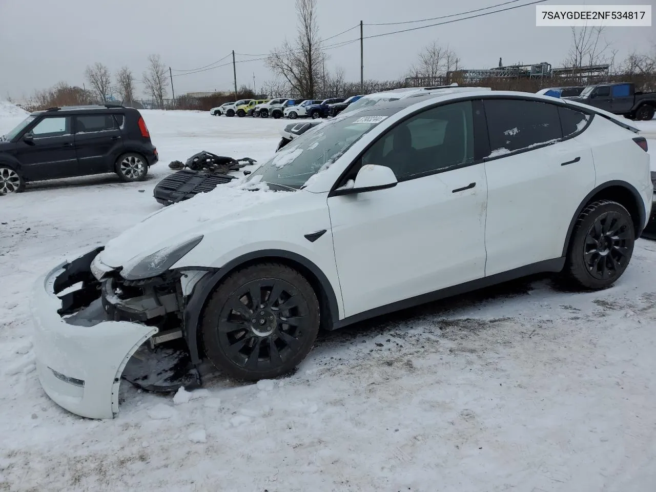 2022 Tesla Model Y
