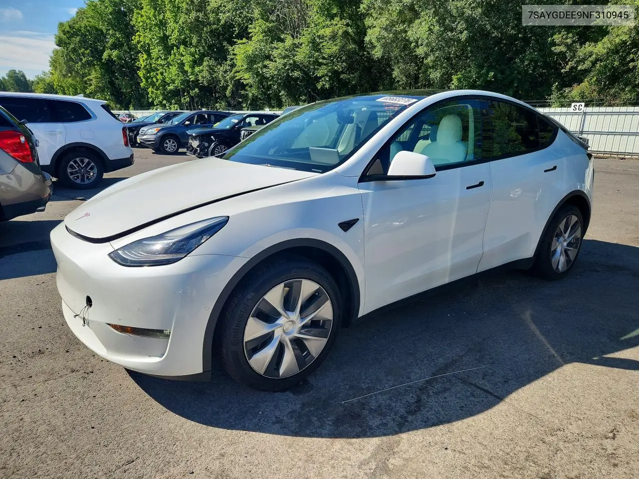 2022 Tesla Model Y