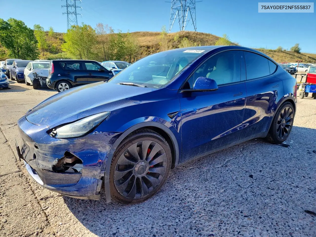 2022 Tesla Model Y