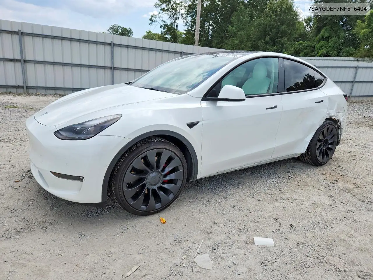 2022 Tesla Model Y