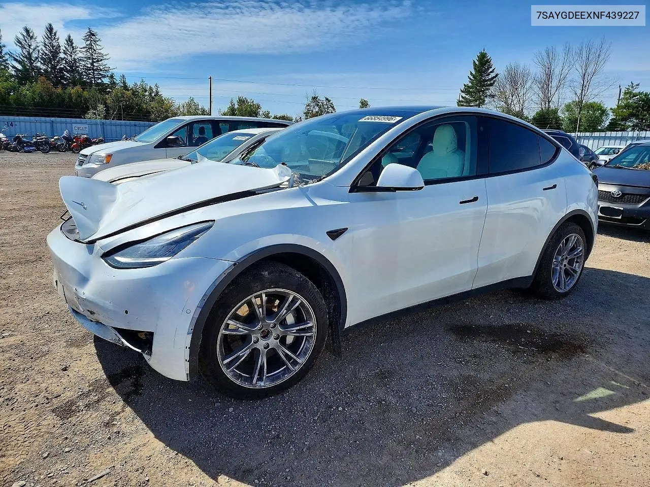 2022 Tesla Model Y