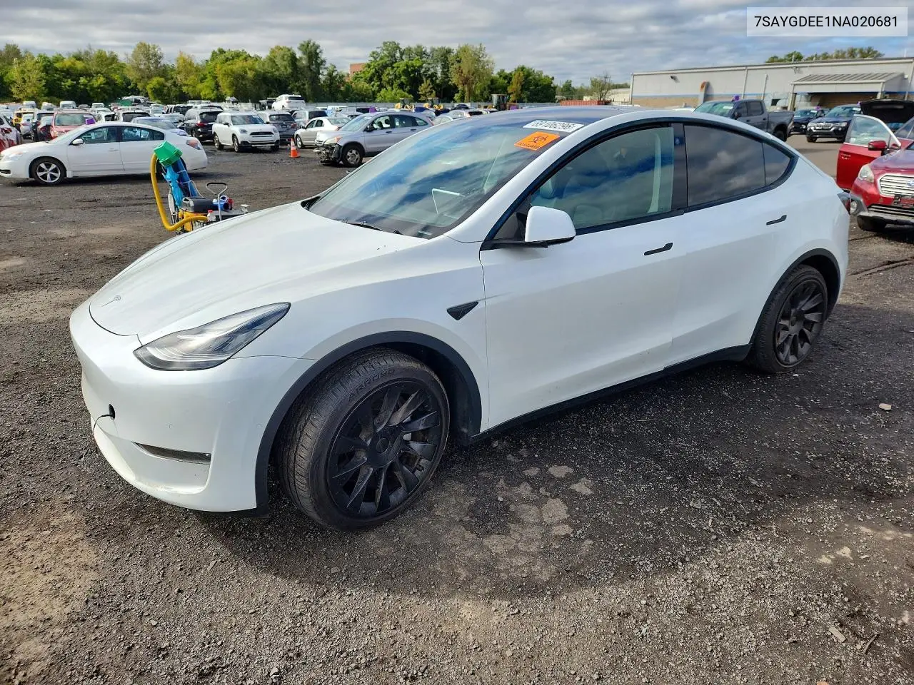 2022 Tesla Model Y