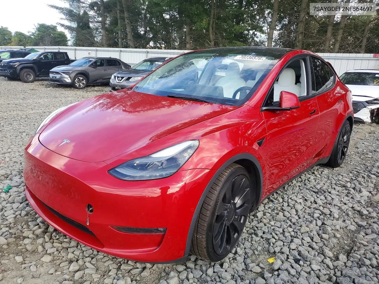 2022 Tesla Model Y