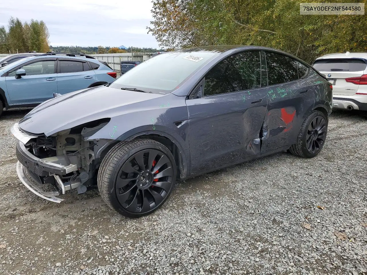 2022 Tesla Model Y