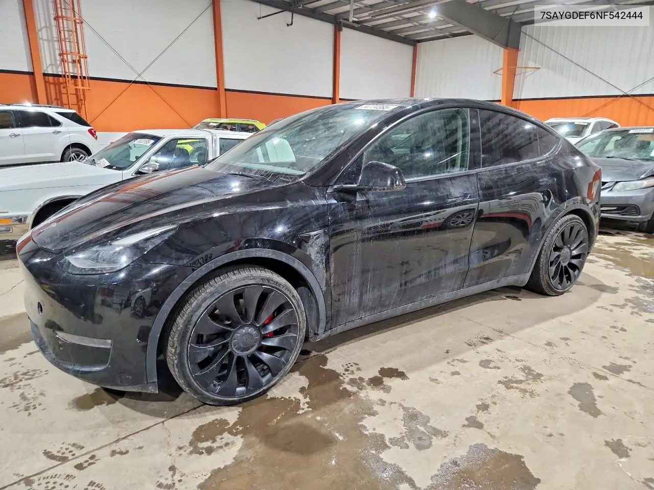 2022 Tesla Model Y