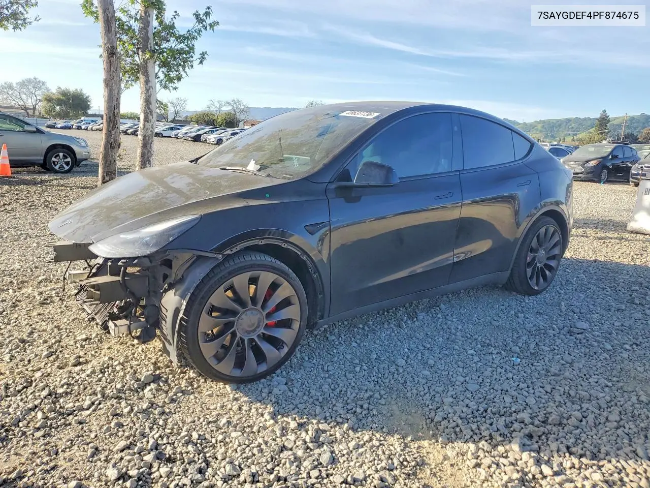 2023 Tesla Model Y