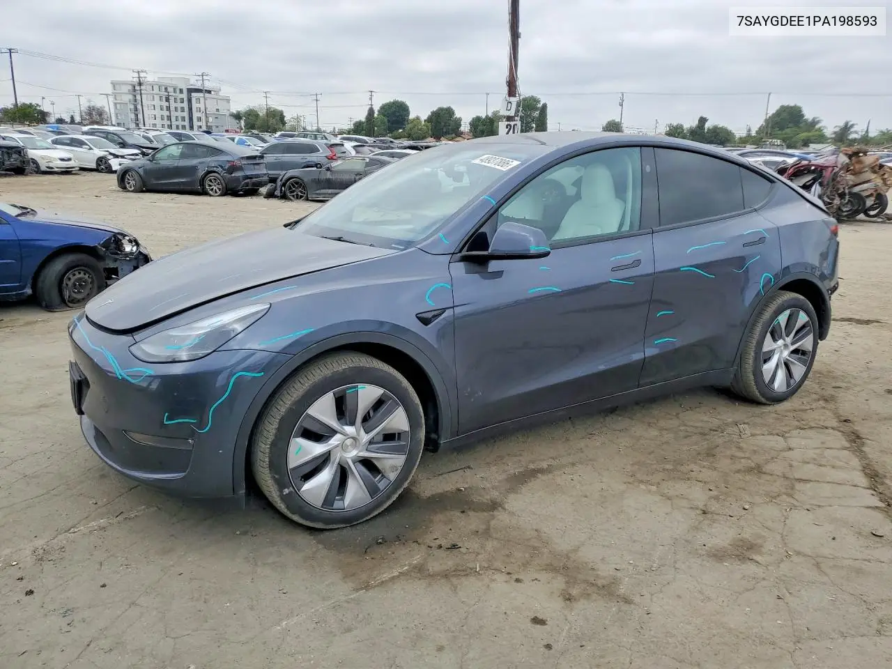 2023 Tesla Model Y