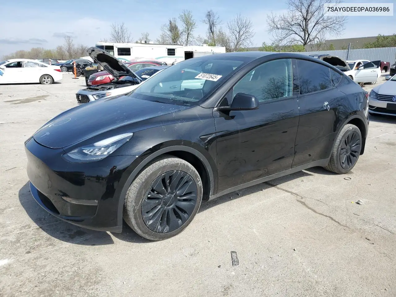 2023 Tesla Model Y