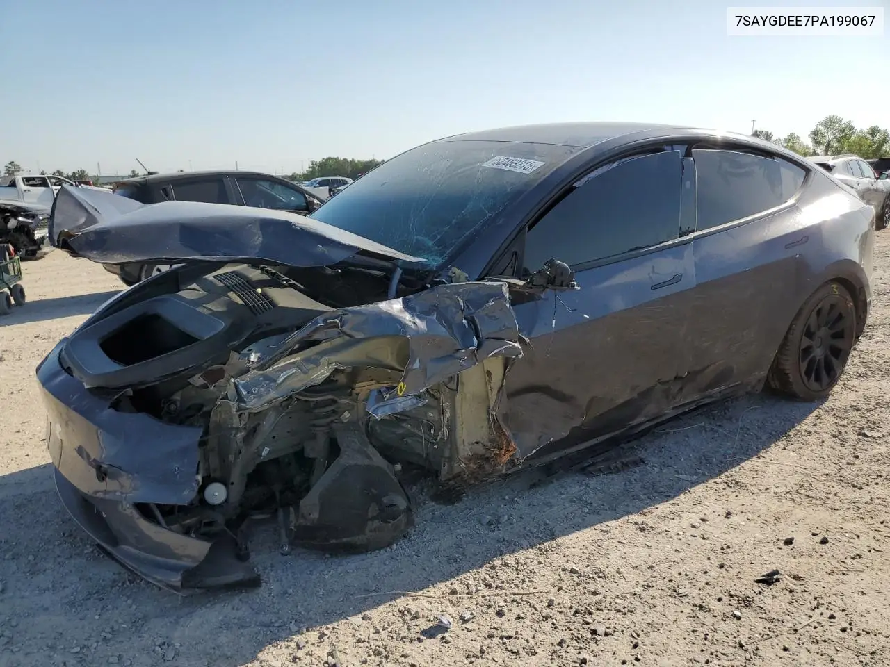 2023 Tesla Model Y