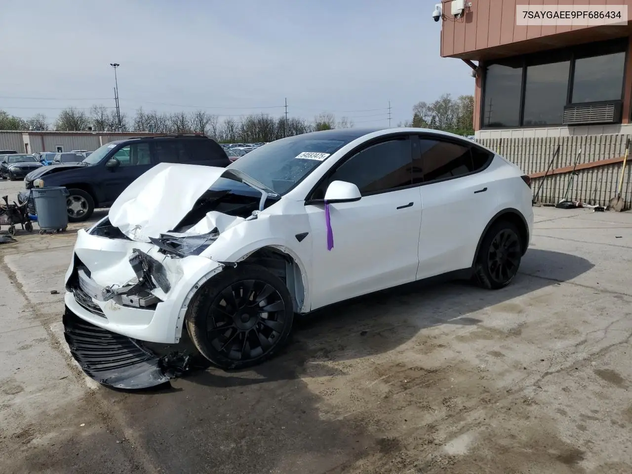 2023 Tesla Model Y