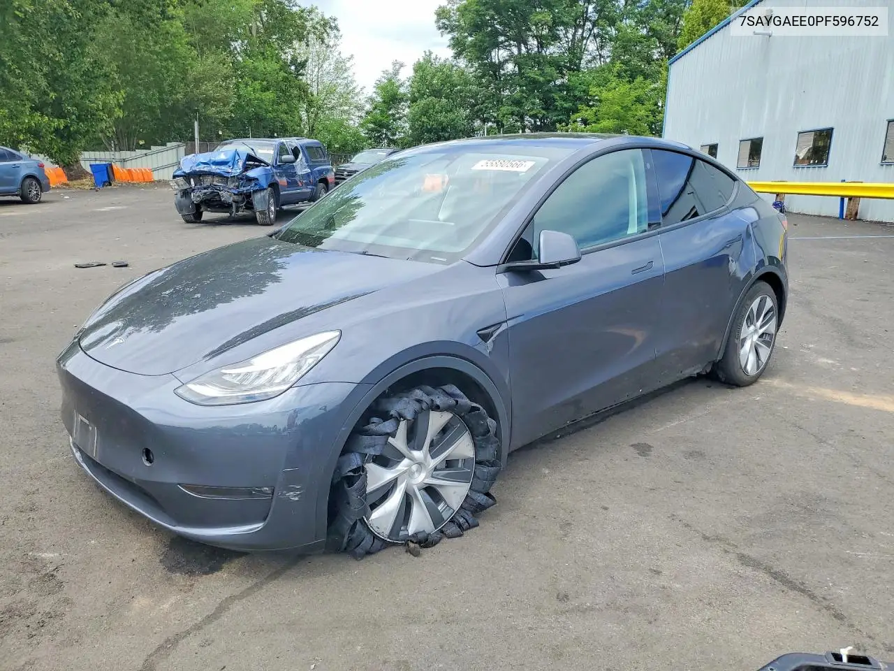 2023 Tesla Model Y