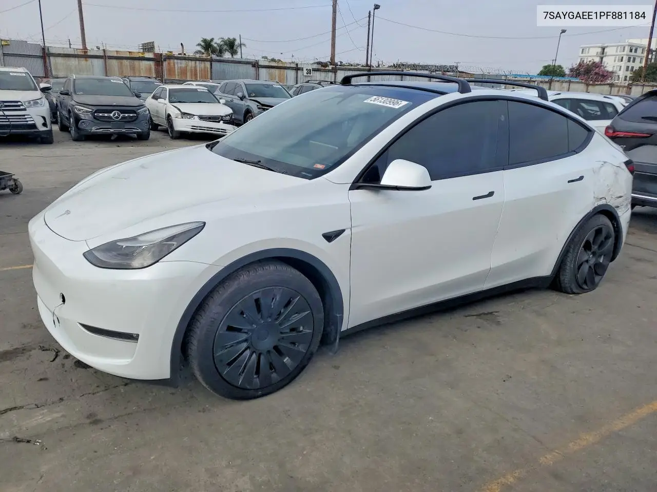2023 Tesla Model Y