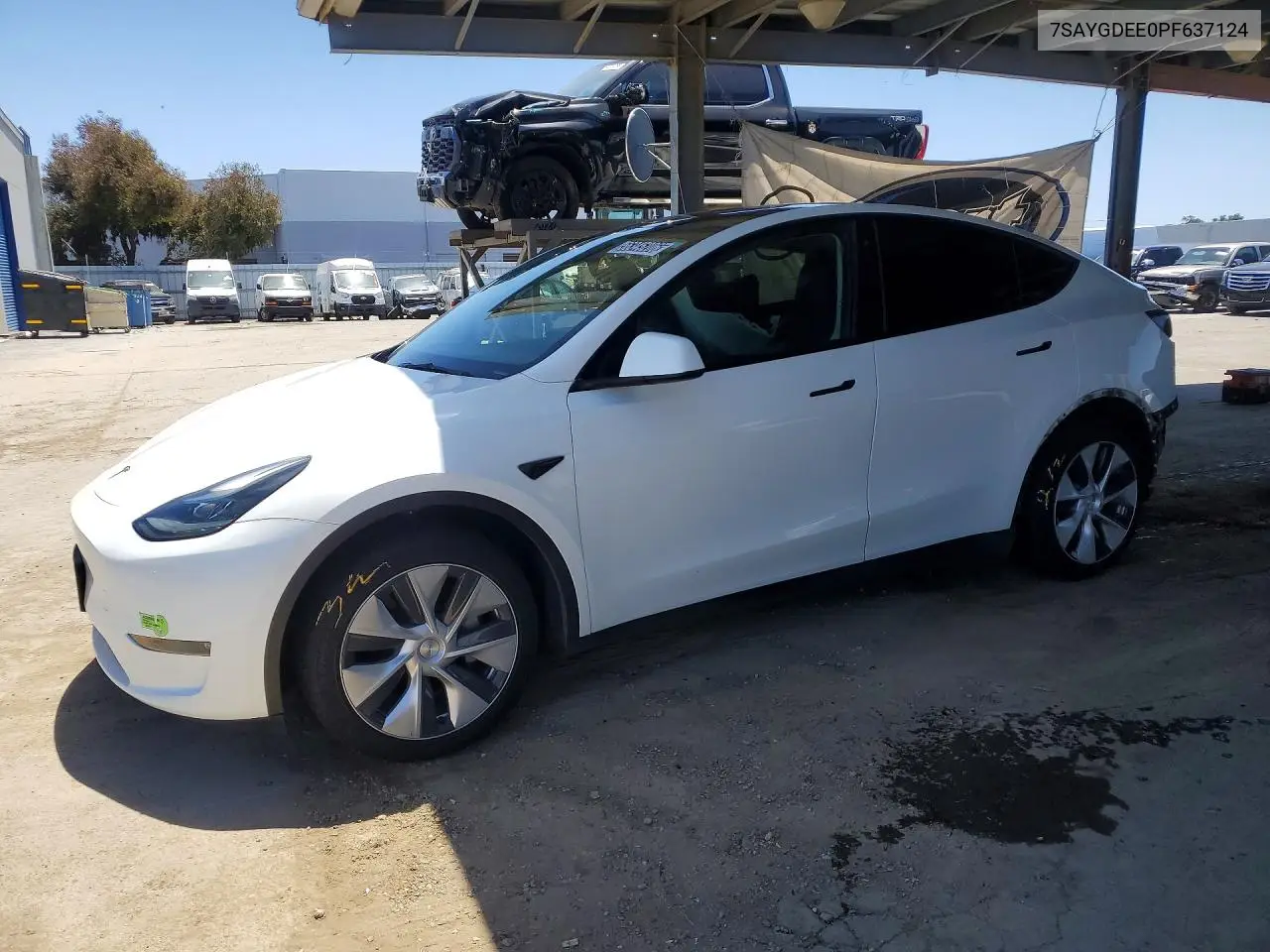 2023 Tesla Model Y