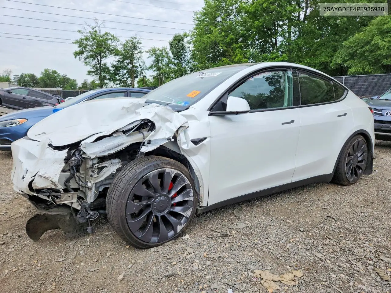 2023 Tesla Model Y