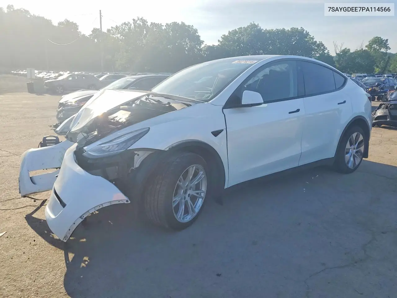 2023 Tesla Model Y
