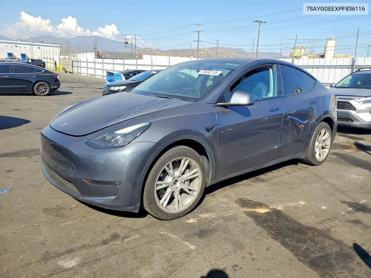 2023 Tesla Model Y