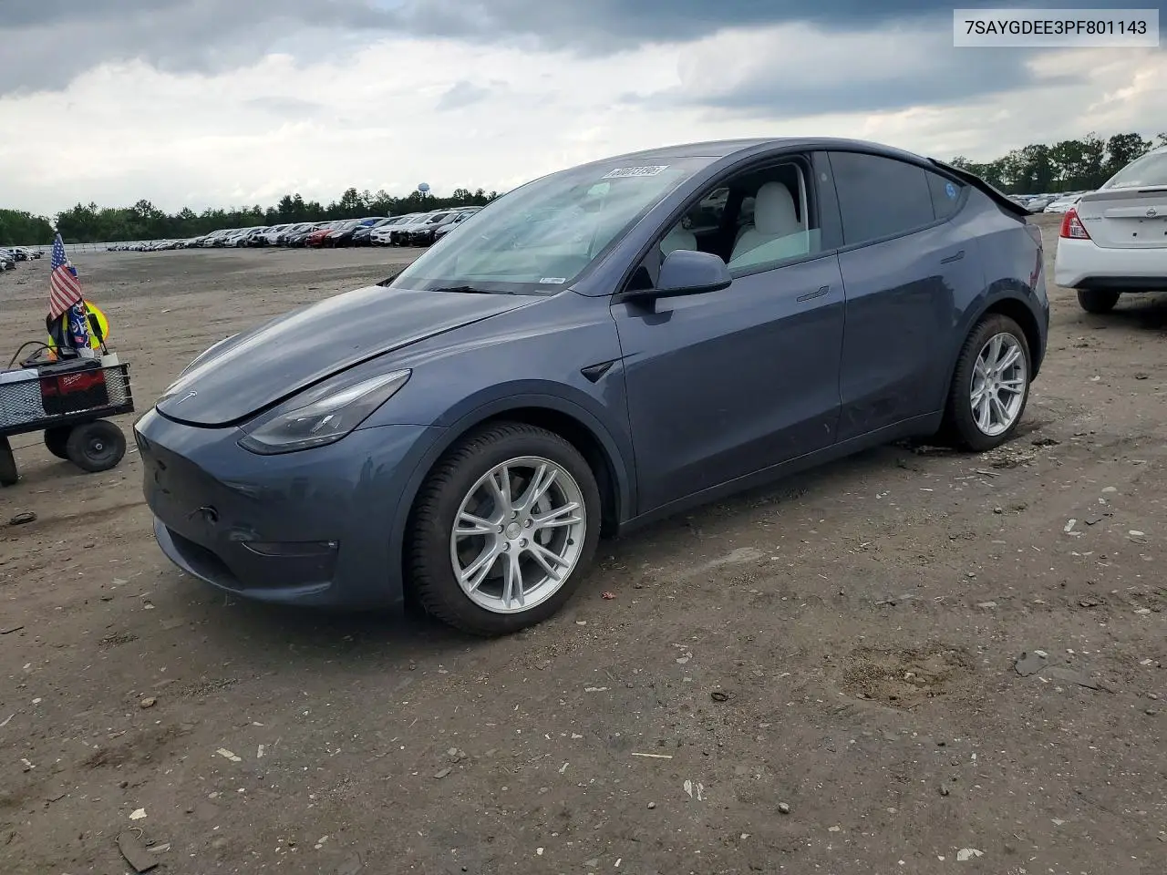 2023 Tesla Model Y