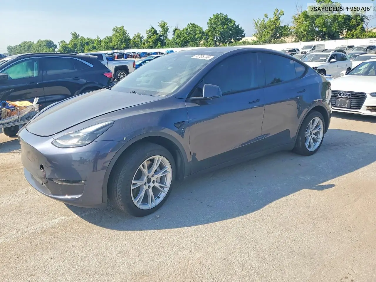 2023 Tesla Model Y
