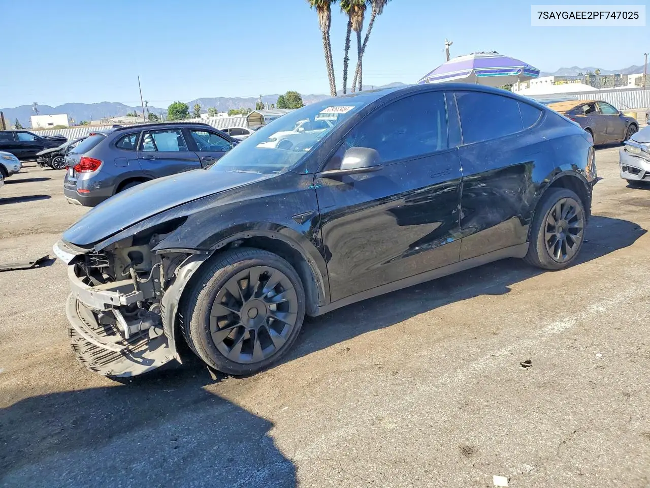 2023 Tesla Model Y