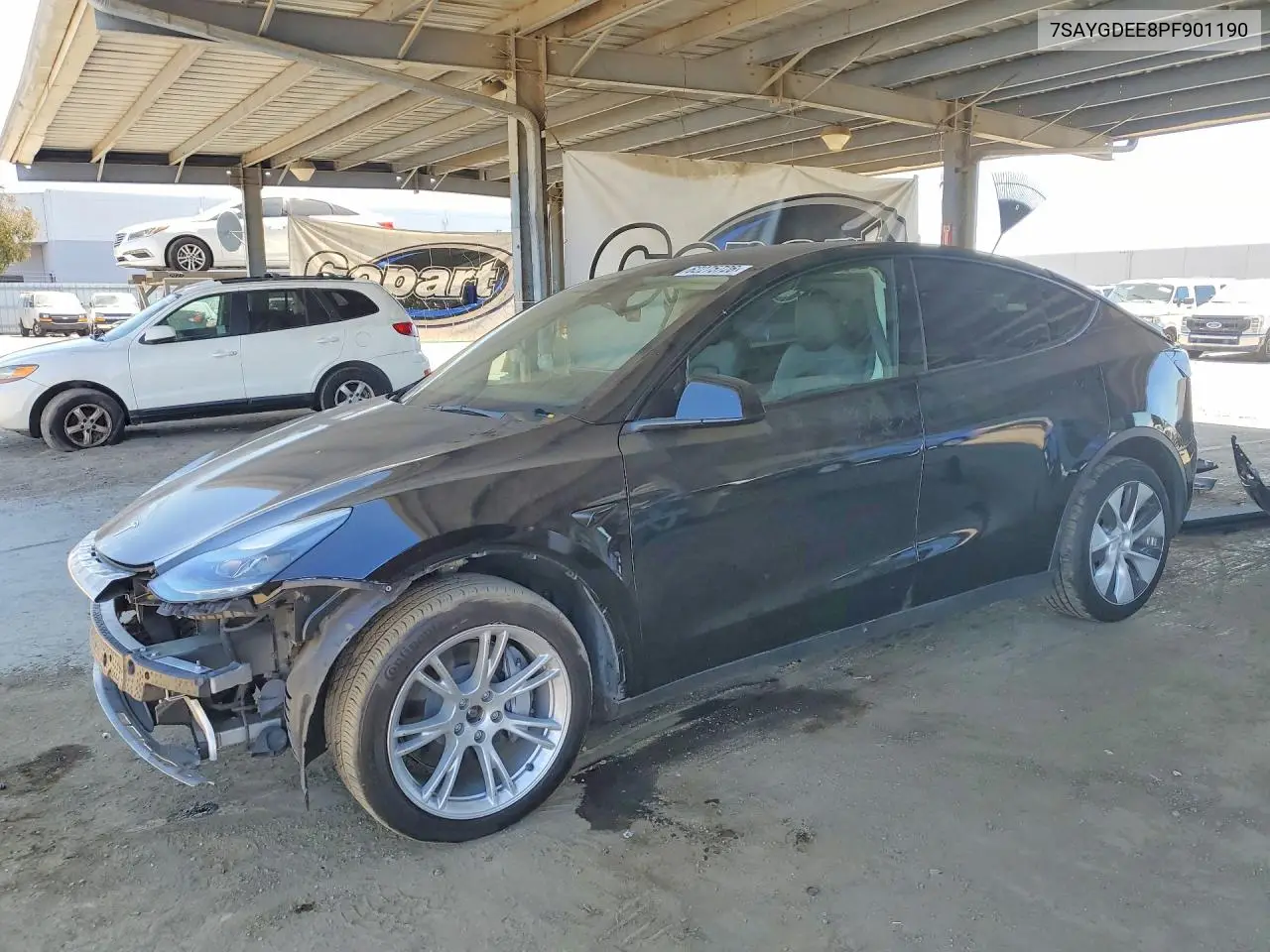 2023 Tesla Model Y