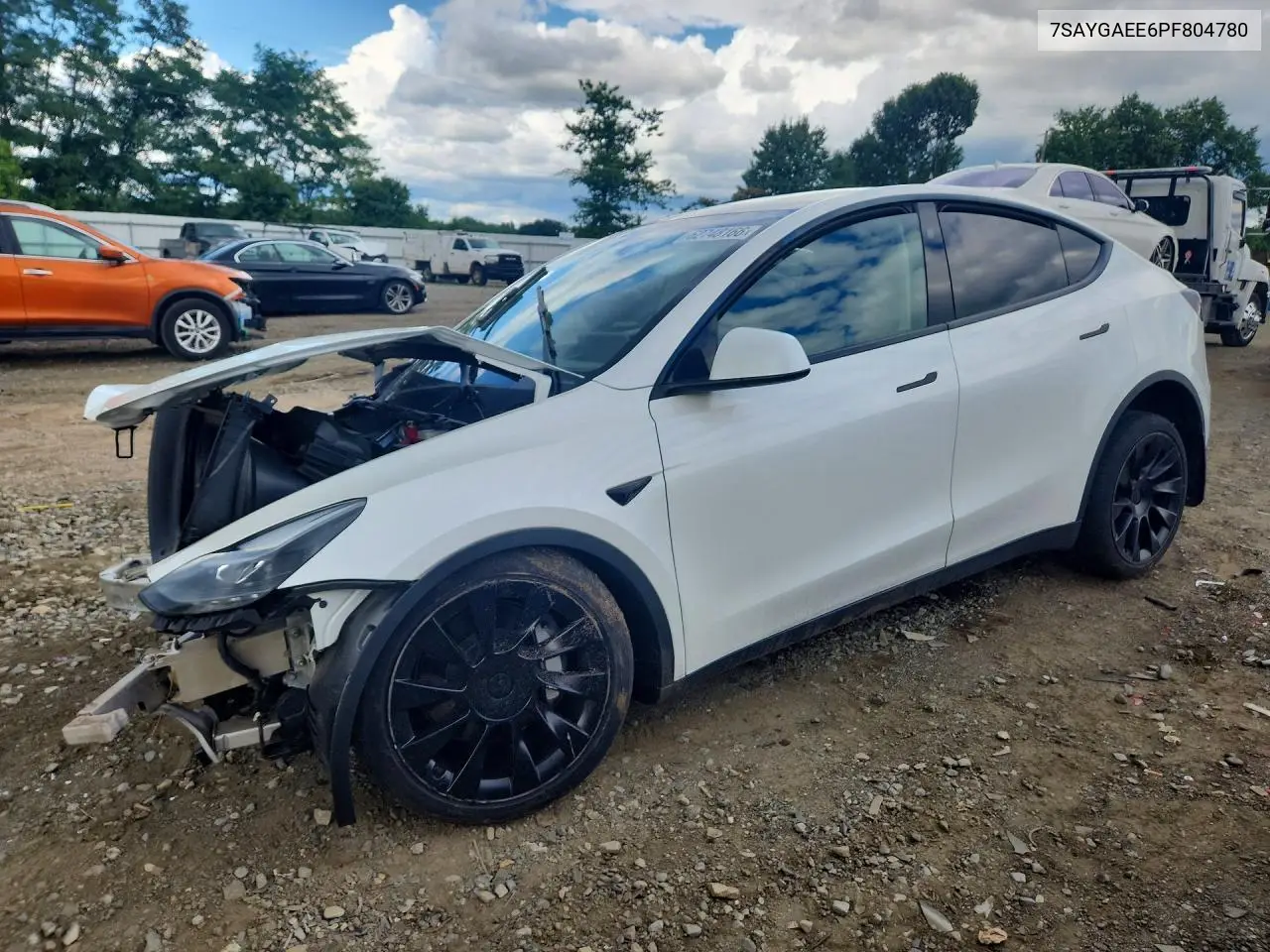 2023 Tesla Model Y