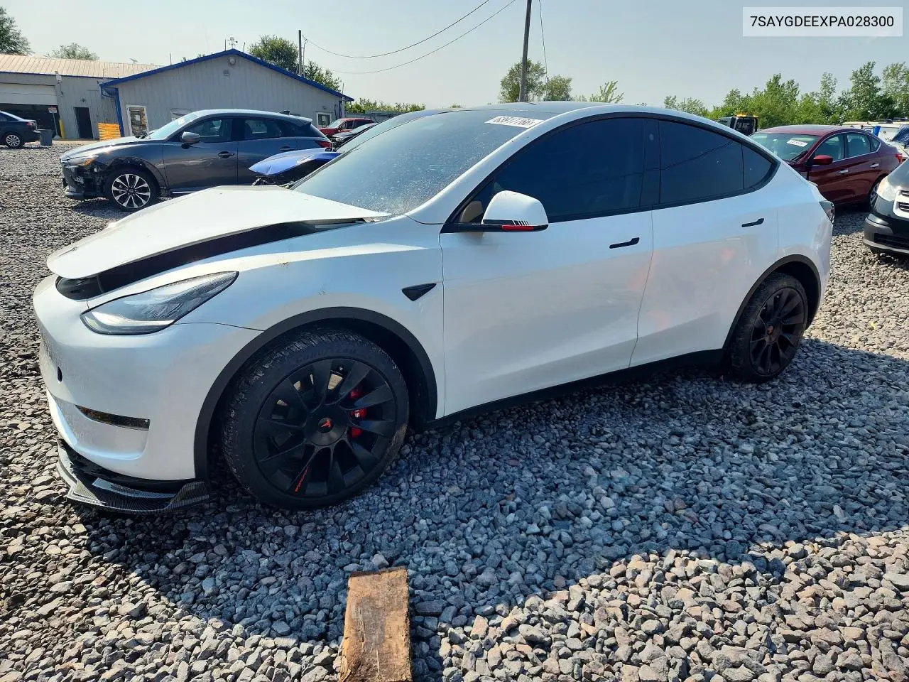2023 Tesla Model Y