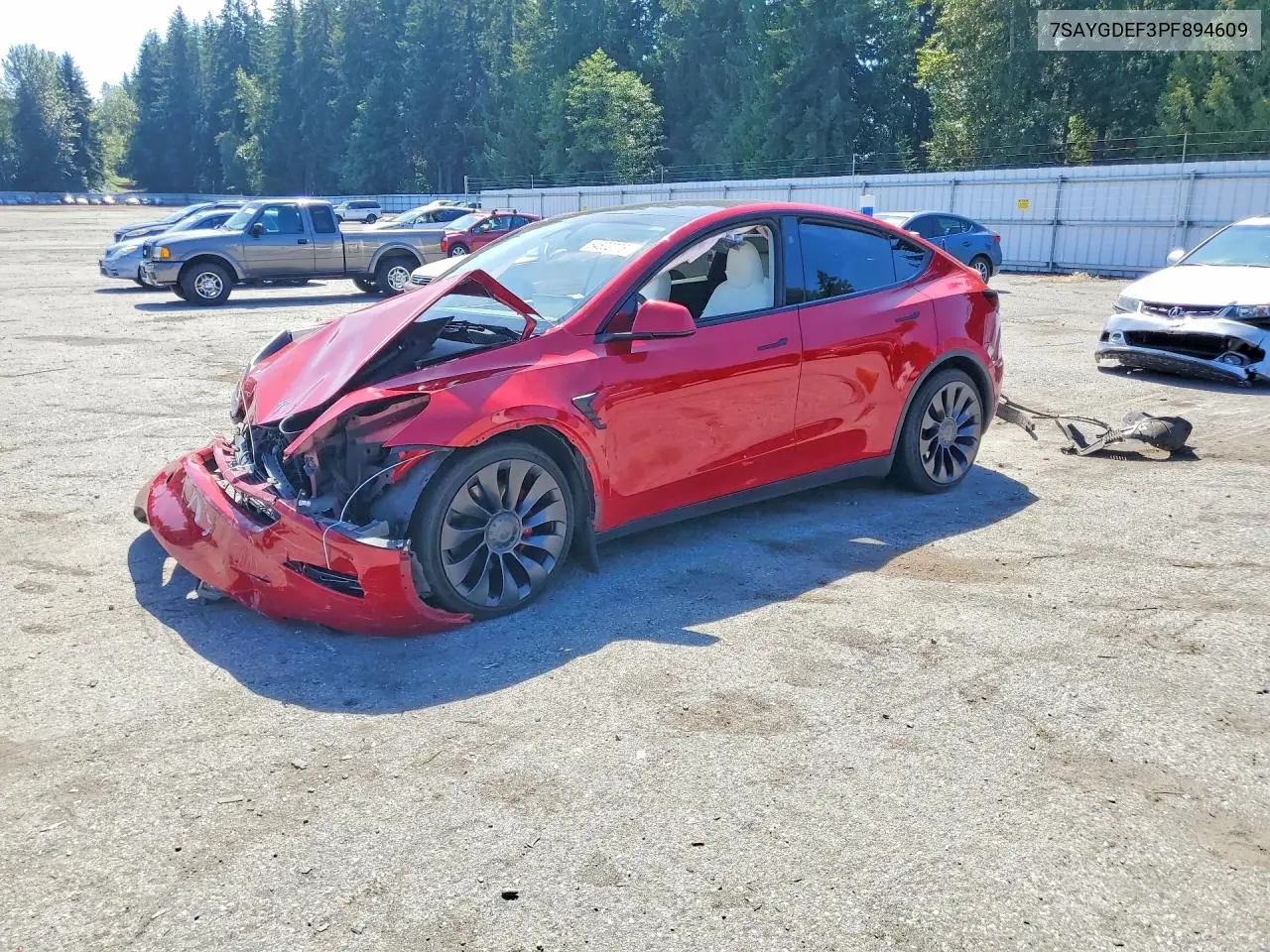 2023 Tesla Model Y