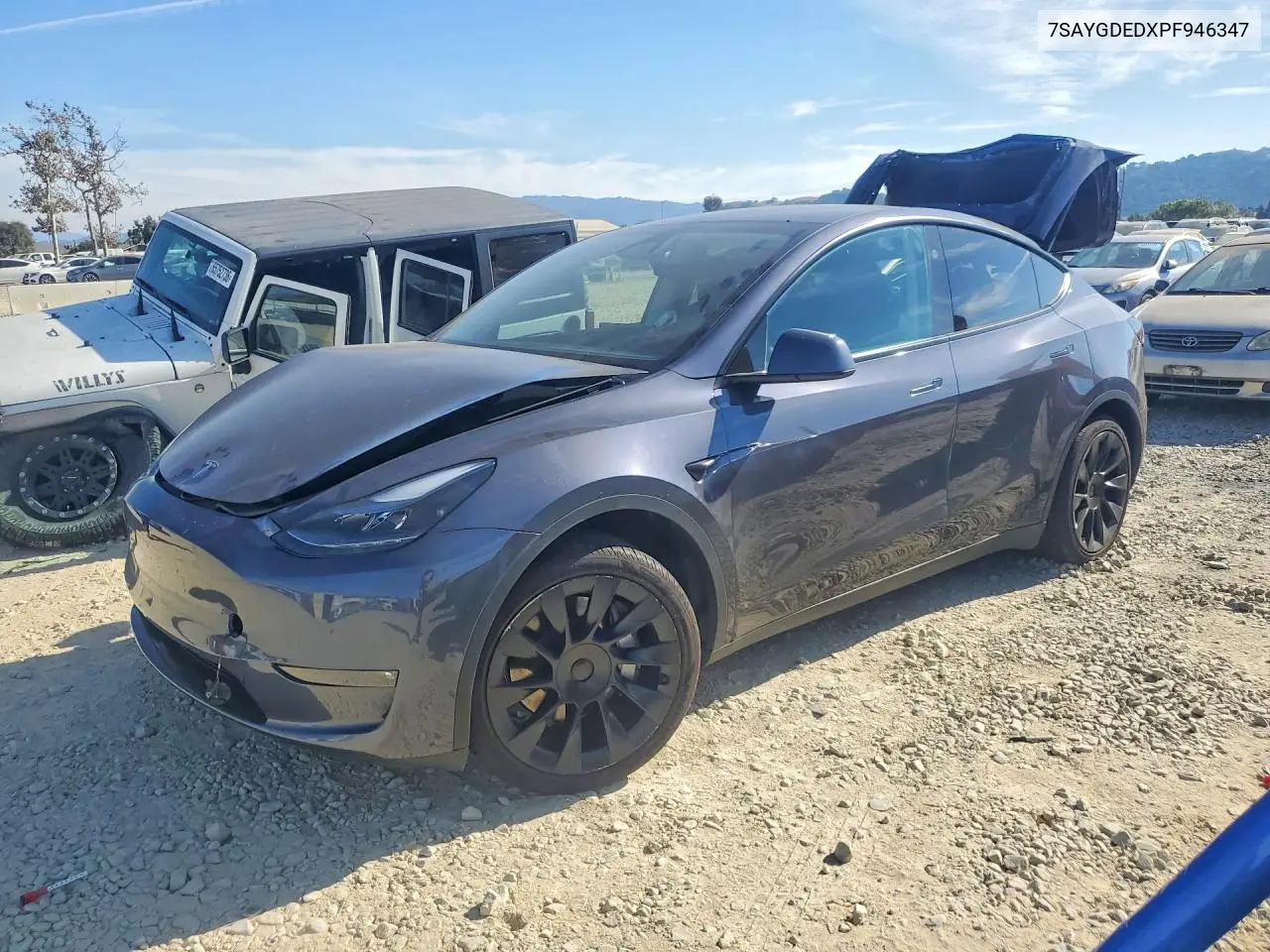 2023 Tesla Model Y