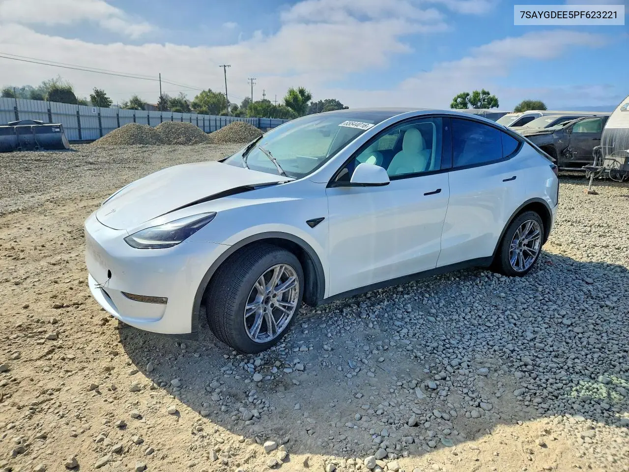 2023 Tesla Model Y