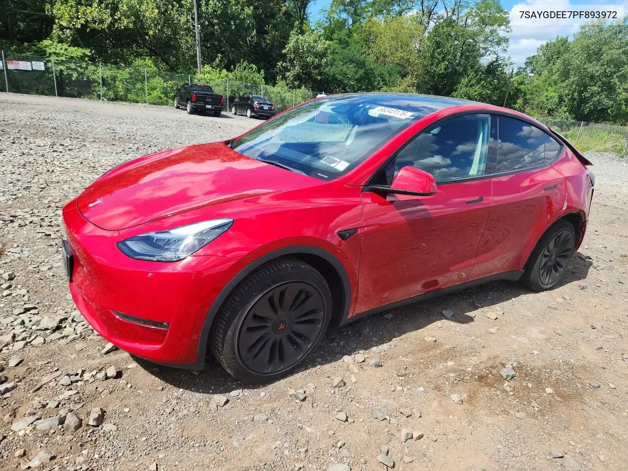 2023 Tesla Model Y