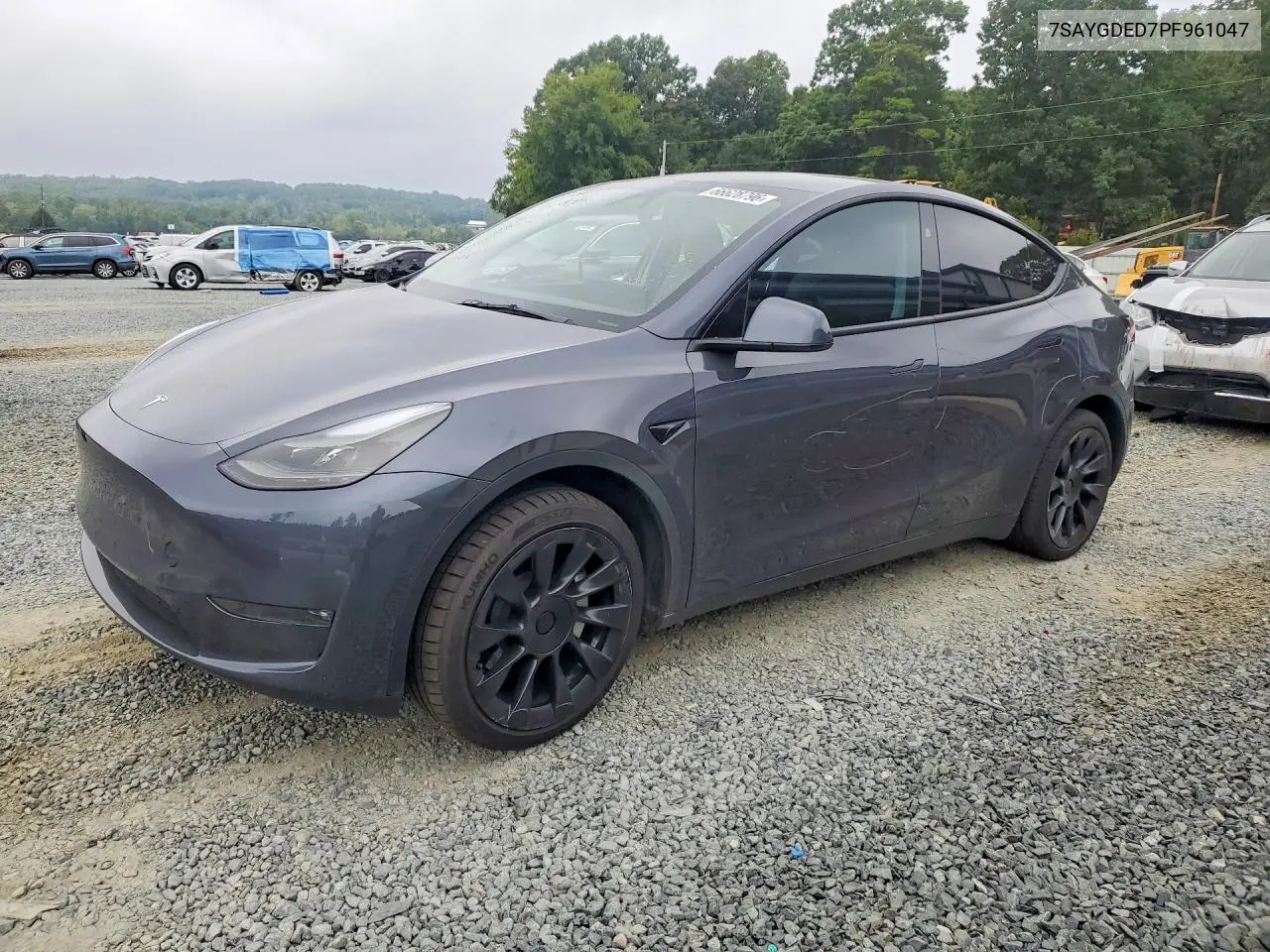 2023 Tesla Model Y