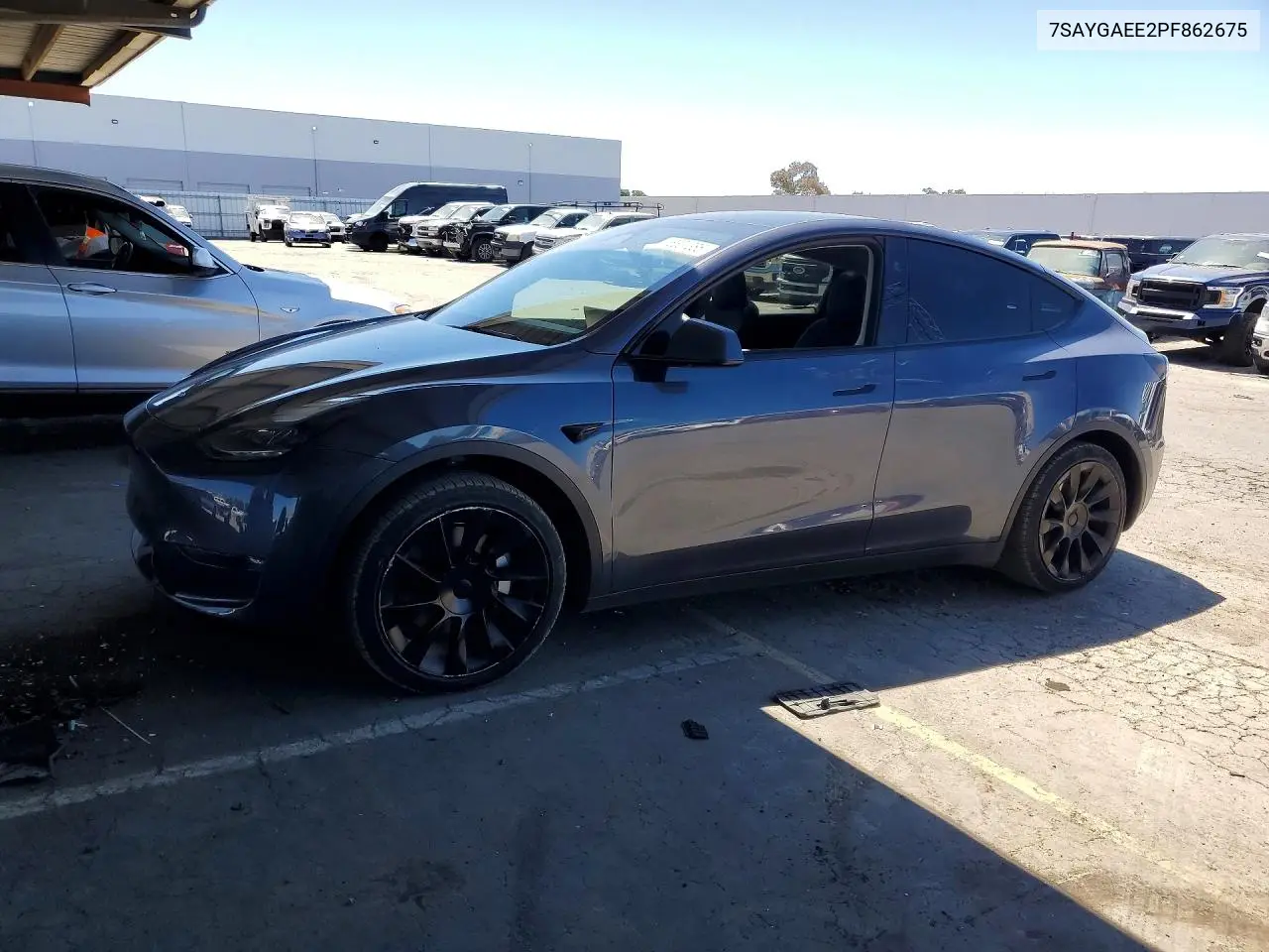 2023 Tesla Model Y