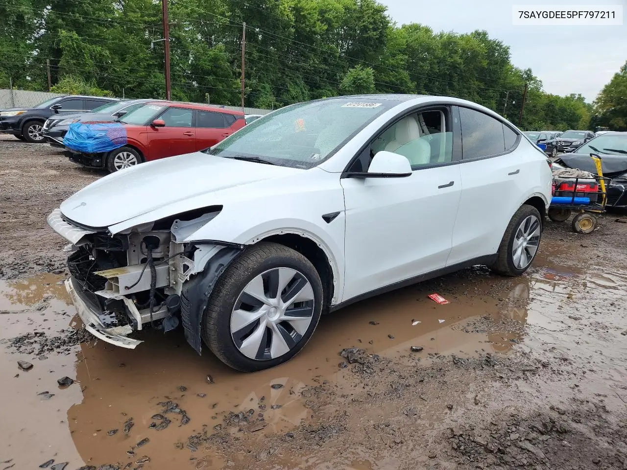2023 Tesla Model Y