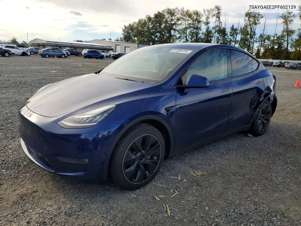 2023 Tesla Model Y
