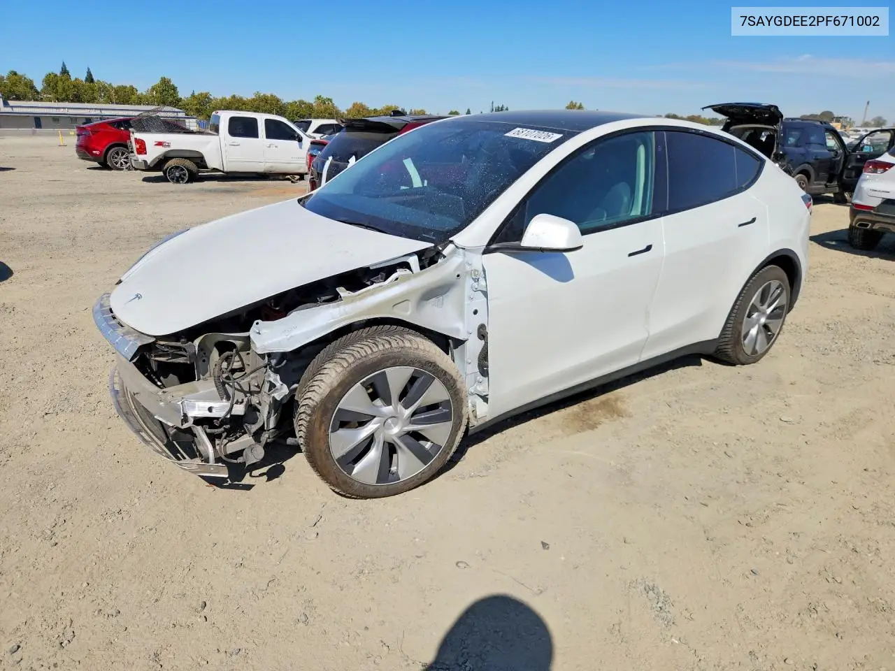 2023 Tesla Model Y