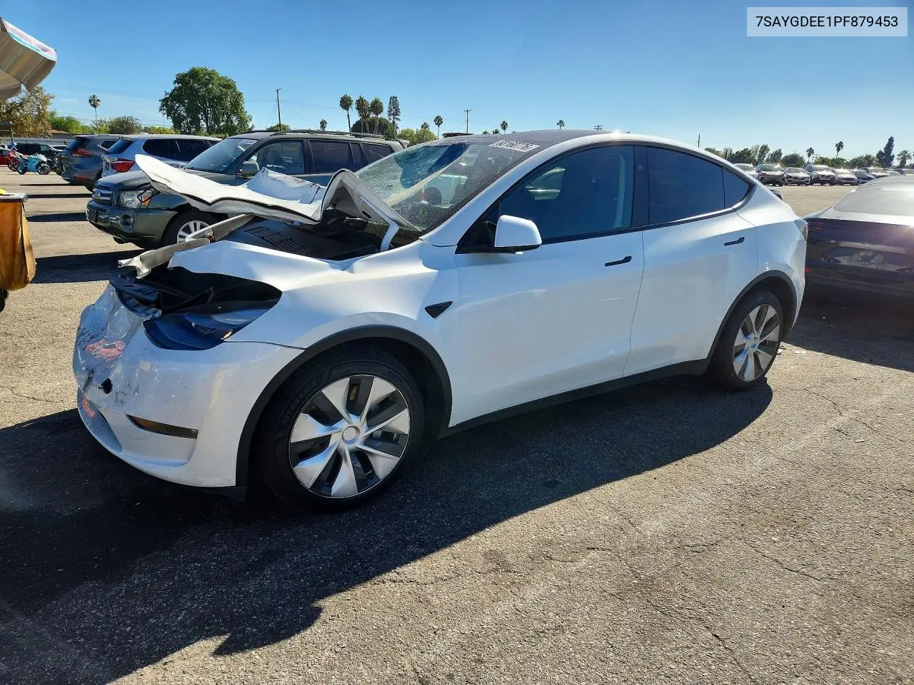 2023 Tesla Model Y